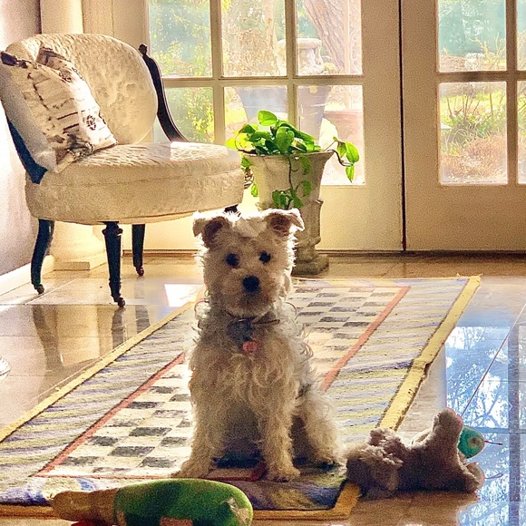 Meet your Posher, Linda - Picture 2 of 7